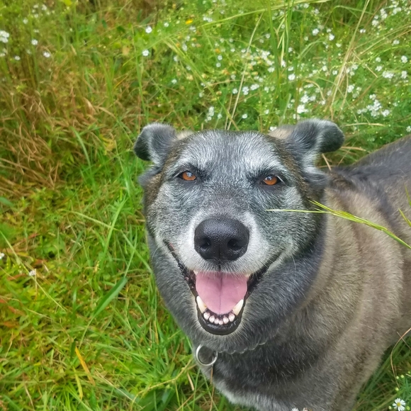 Meet your Posher, Kathryn - Picture 4 of 5